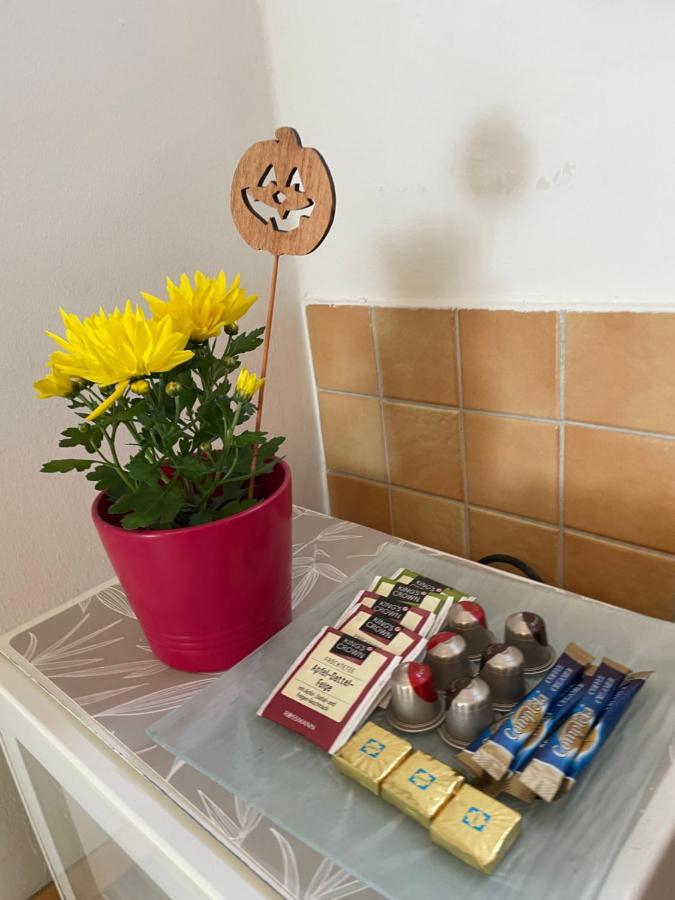 Magnolia Apartman Győr Exterior foto